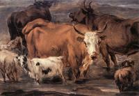 Nicolaes Berchem - Animal Study